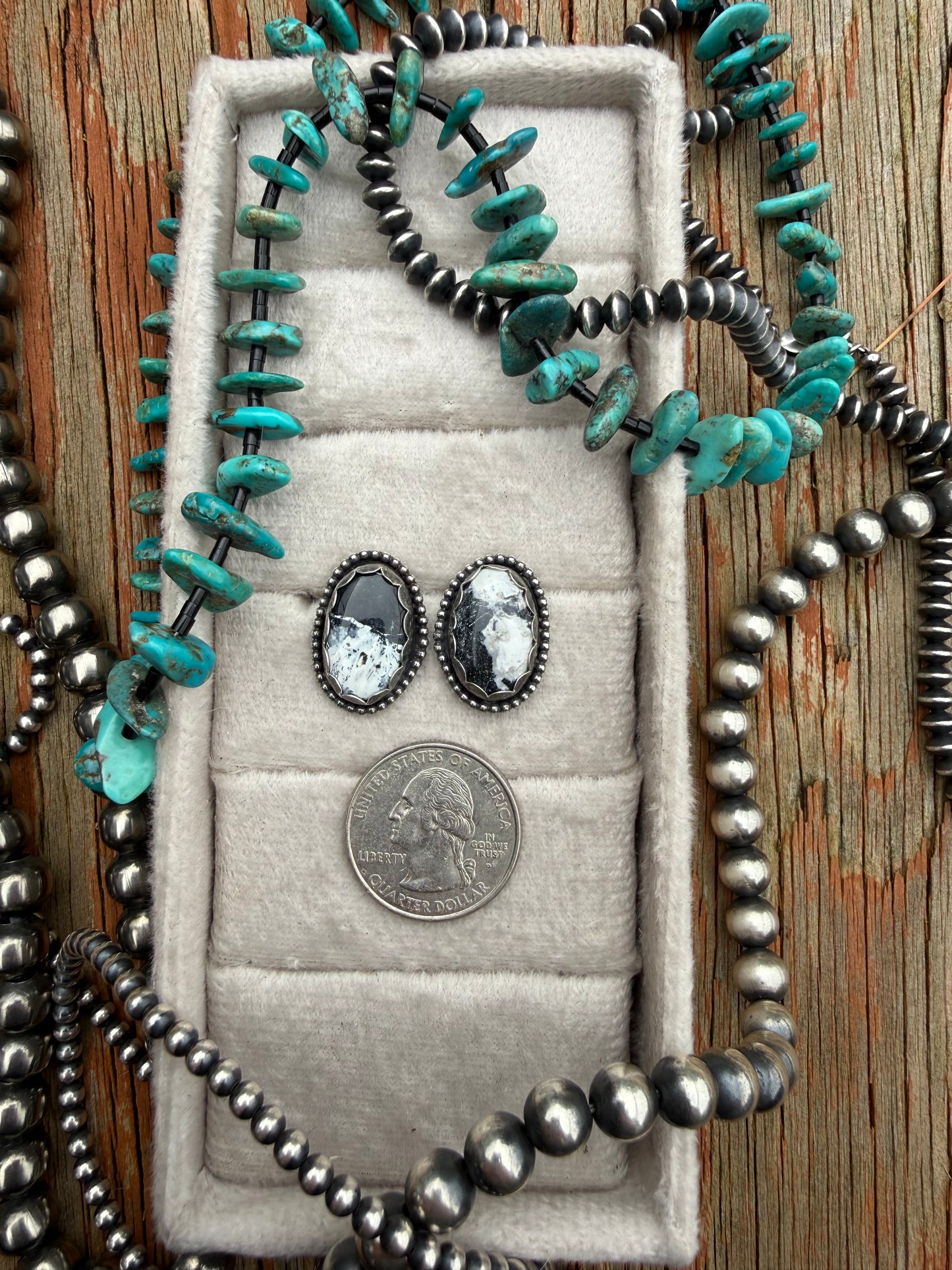 White Buffalo Studs